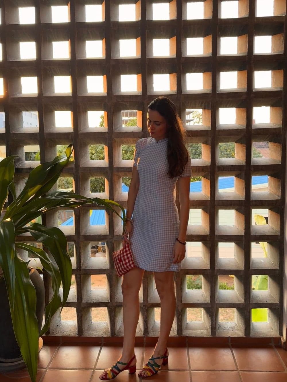 Vichy Chinese Dress - View 4