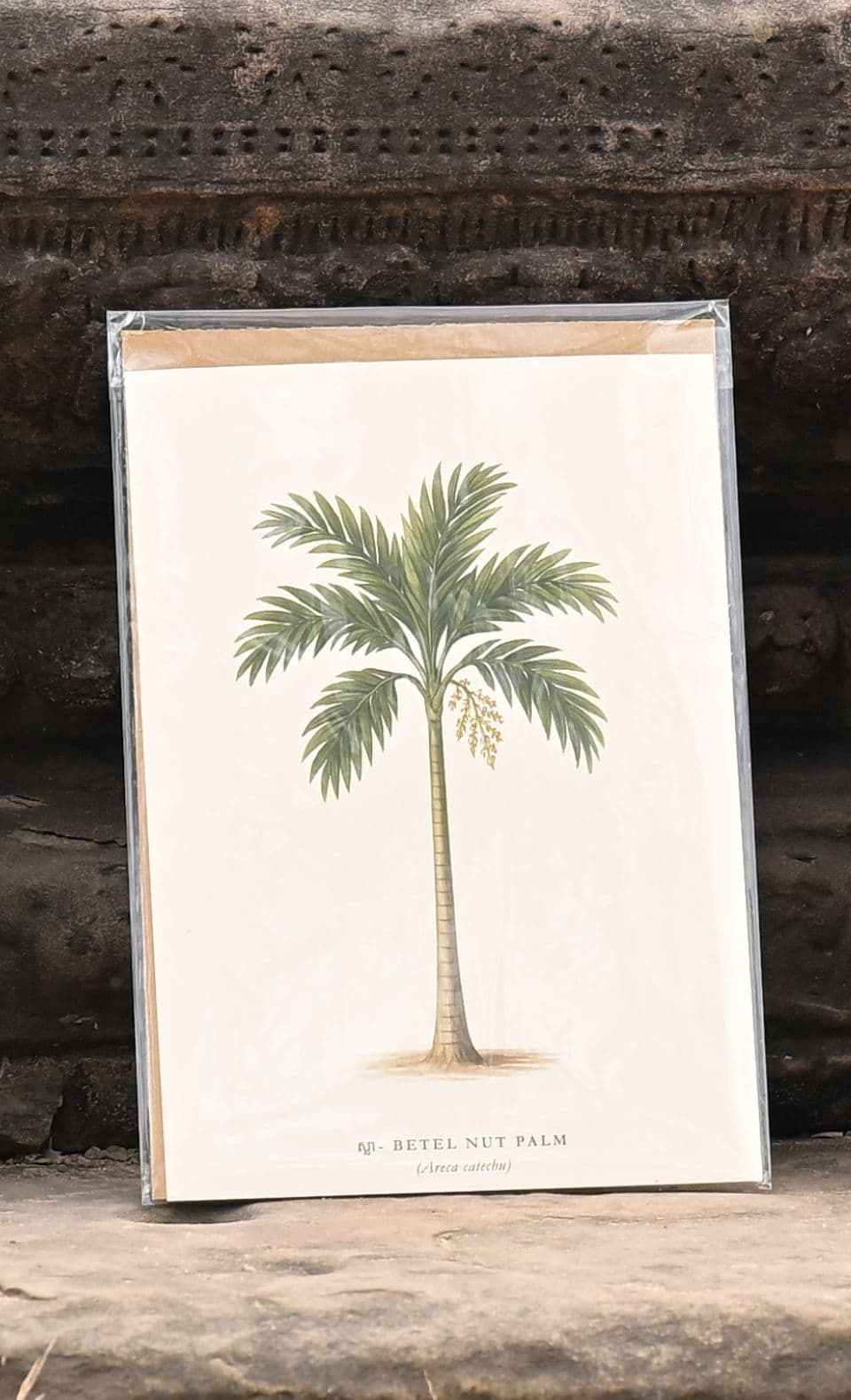 Palm Trees of Cambodia Poster - View 7