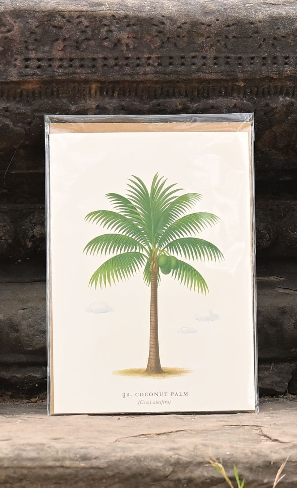 Palm Trees of Cambodia Poster - View 5