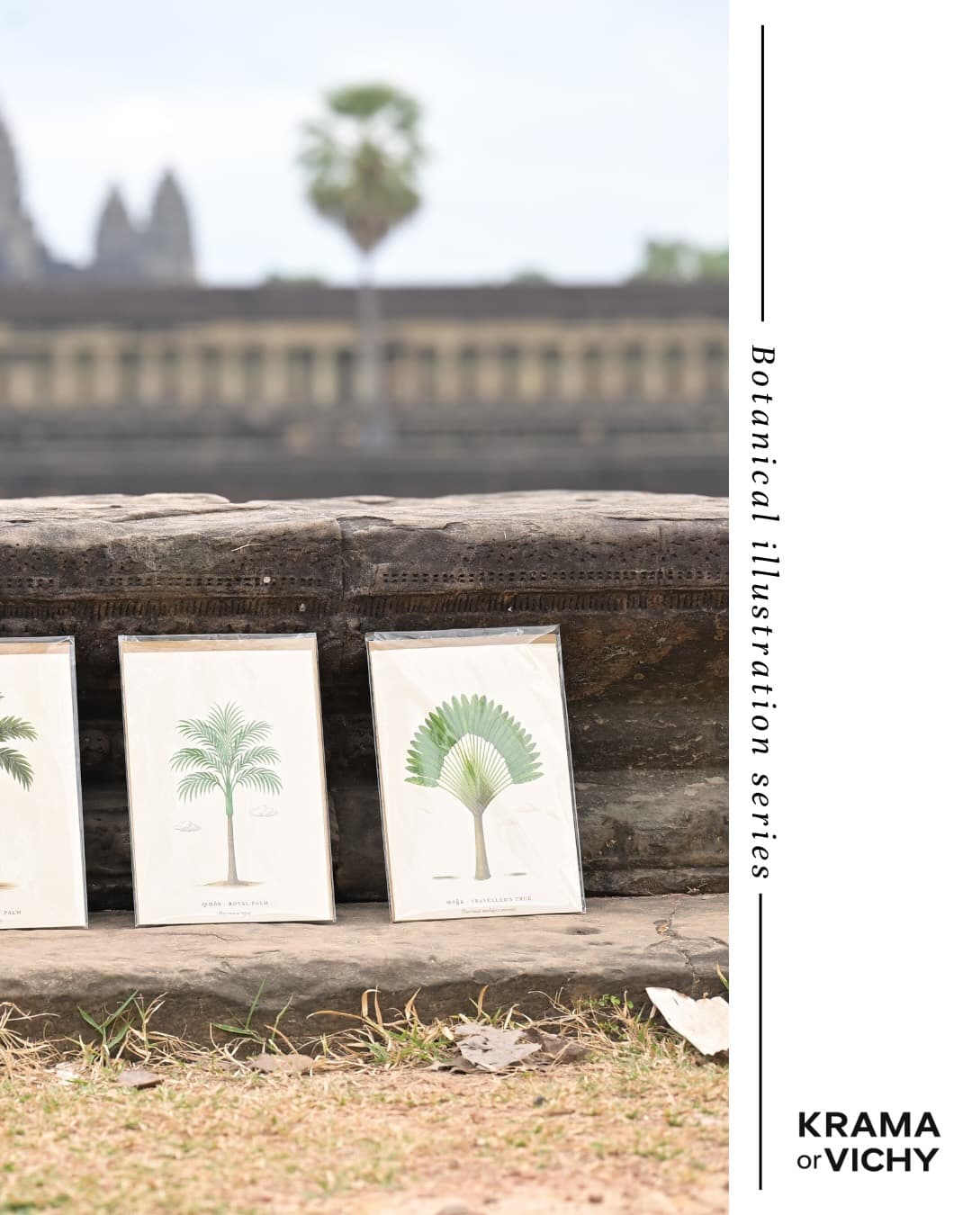 Palm Trees of Cambodia Poster - View 3