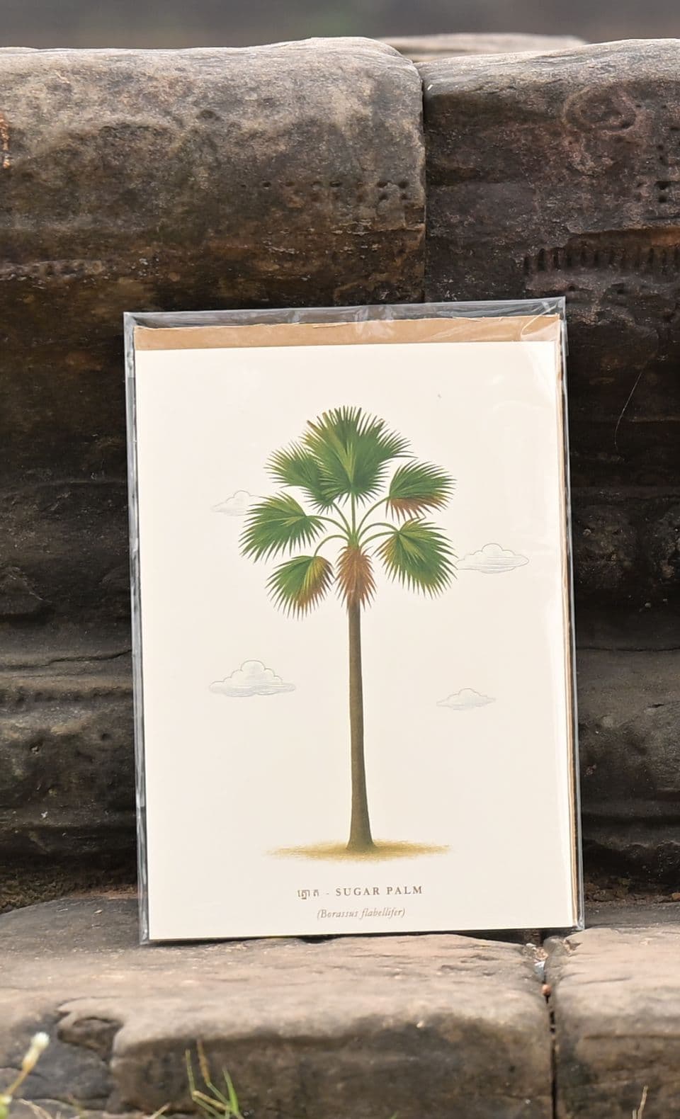 Palm Trees of Cambodia Poster - View 6
